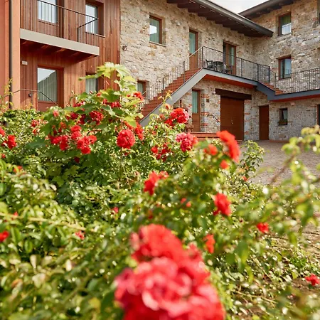 Agriturismo l'Uva e le Stelle-3