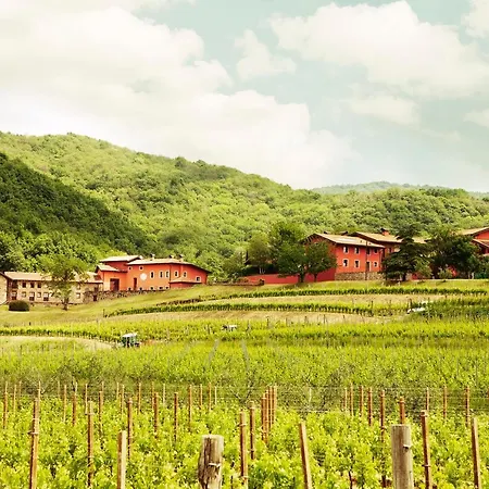 Agriturismo l'Uva e le Stelle-2